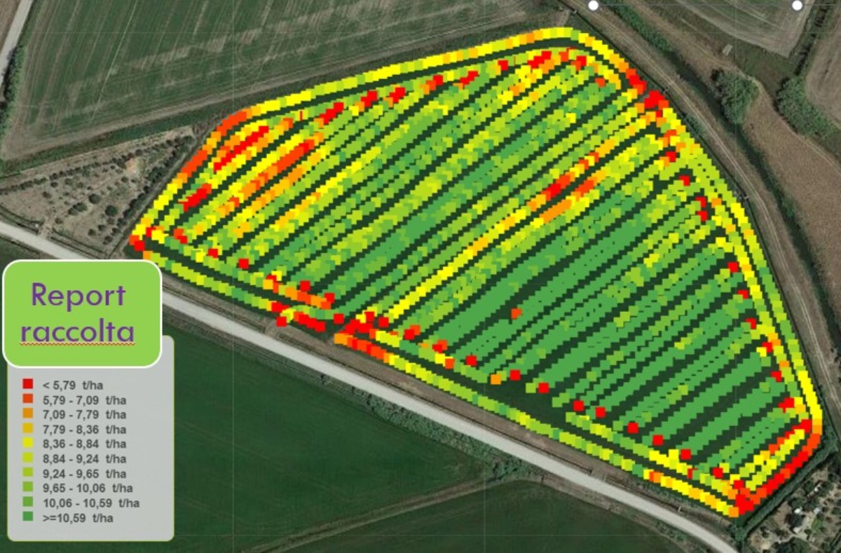 Una mappa di resa del riso